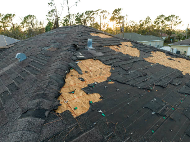Best Skylight Installation and Repair  in Spring Valley, IL